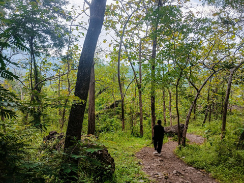 Suasana Pendakian Melewati Hutan Gunung Sepikul (HilalFajri)