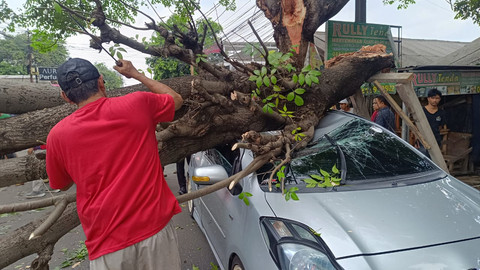 Pohon tumbang menimpa mobil berisi Ibu dan Anak di Ciputat.  Foto: Dok. Istimewa