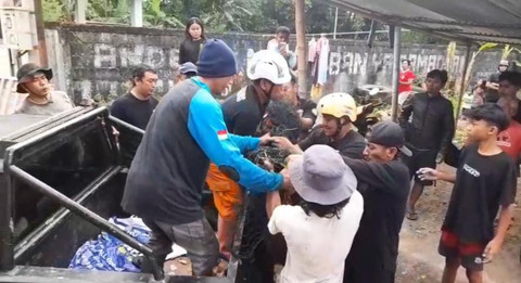 Proses evakuasi rusa yang sebelumnya berkeliaran di jalanan di Gamping, Kabupaten Sleman.  Foto: Dok. Polsek Gamping