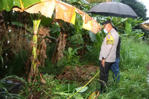Petugas kepolisian memeriksa mayat pria yang terbungkus karung di kebun pisang, Tangerang. Foto: Dok. Istimewa