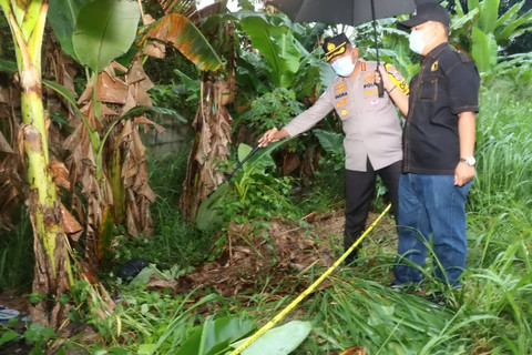 Petugas kepolisian memeriksa mayat pria yang terbungkus karung di kebun pisang, Tangerang. Foto: Dok. Istimewa