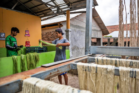 Pekerja mengolah serat daun nanas sebelum dijemur di rumah produksi. Foto: Abdan Syakura/ANTARA FOTO
