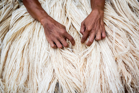 Pekerja memeriksa kualitas serat daun nanas. Foto: Abdan Syakura/ANTARA FOTO