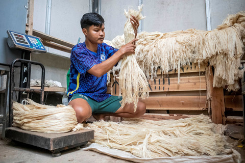 Pekerja memeriksa kualitas serat daun nanas. Foto: Abdan Syakura/ANTARA FOTO