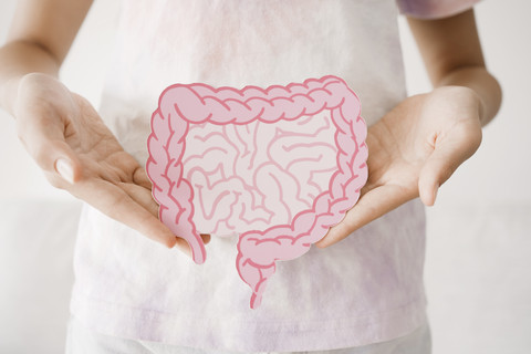 Ilustrasi kesehatan usus. Foto: Shutterstock