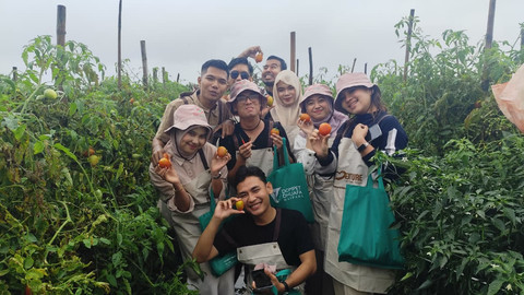 Para konten kreator turun ke Kampung Hortikultura untuk melihat langsung program Dompet Dhuafa, Kamis (27/11). Foto: Amar Marpaung/kumparan