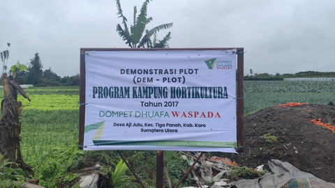 Program Kampung Hortikultura Dompet Dhuafa di Desa Aji Julu, Kecamatan Tiga Panah, Kabupaten Karo, Kamis (27/11).  Foto: Amar Marpaung/kumparan