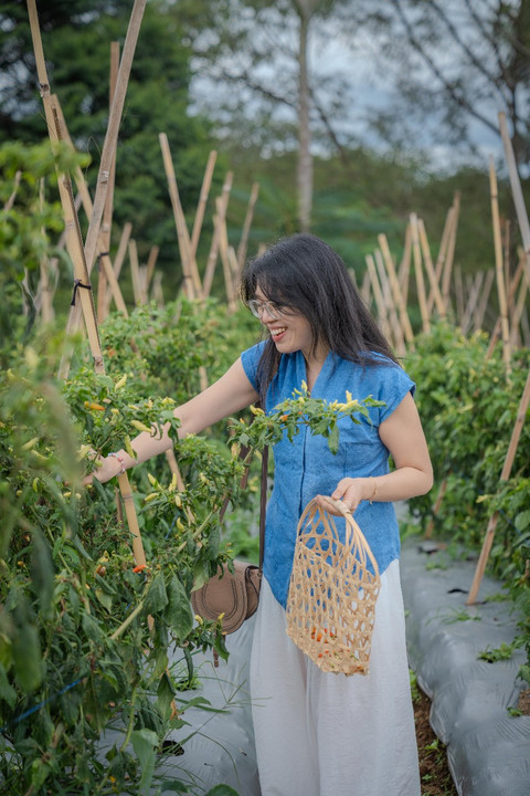 Peserta diajak berkebun di kaki Gunung Pangrango. Foto: JHL Collection