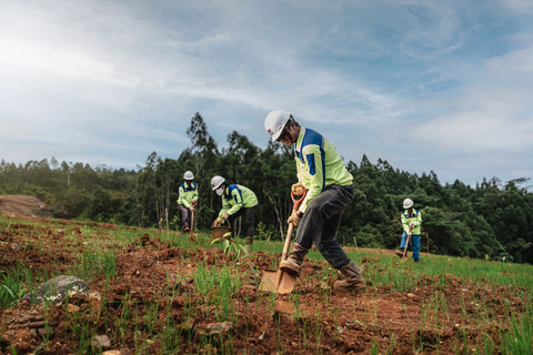 Penanaman pohon di area pascatambang MIND ID.