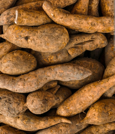 contoh pangan lokal (sumber : dokumentasi pribadi)