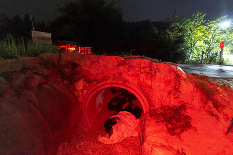 Warga Thailand yang mengungsi berlindung dibawah gorong-gorong akibat bentrokan antara tentara Thailand dan Kamboja berlindung di Provinsi Buriram, Thailand, Selasa (9/12/2025). Foto: Wason Wanichakorn/AP PHOTO