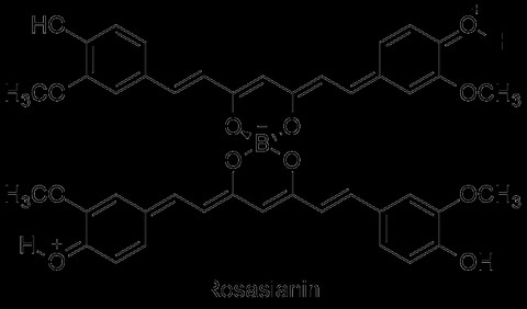 Kompleks Rosasianin. Foto: Dokumentasi Pribadi
