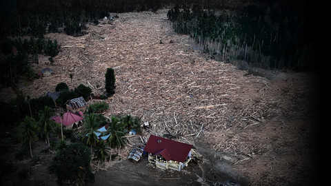 Lipus Setelah Bencana Sumatera. Foto: ANTARA FOTO/Syifa Yulinnas