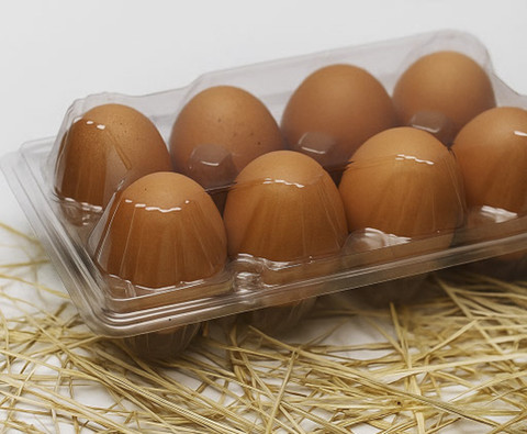 Mahasiswa UNY kembangkan inovasi produksi telur omega-3 dan ayam DOC berbasis smart farming. Foto: Dok. UNY