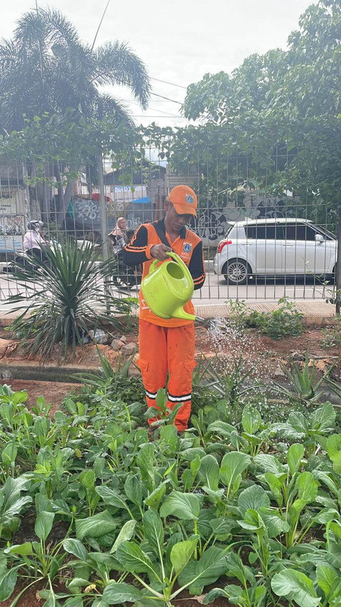 Lokasi urban farming di kolong tol Becakayu, Kelurahan Cipinang Melayu, Jakarta Timur, Minggu (14/12/2025). Foto: Fadhil Pramudya/kumparan