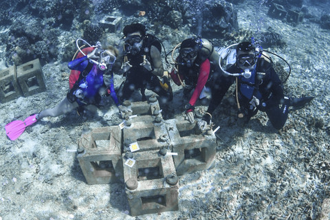 Content creator & lifetime scuba diver, Marischka Prudence, menyelam di perairan Pulau Obi, Halmahera Selatan, Maluku Utara. Foto: Dok. Marischka Prudence