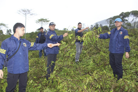 Kebun teh di Garut yang dirusak. Foto: Dok. Polres Garut