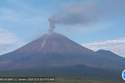 Gunung Semeru erupsi dengan tinggi letusan mencapai 1.200 meter di atas puncak pada Minggu (21/12/2025) pagi pukul 05.46 WIB. Foto: ANTARA/HO-PVMBG