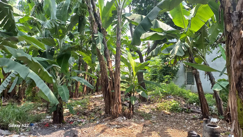 Kejaksaan Agung melelang tanah di Kota Bandung milik terpidana kasus kredit fiktif Andi Winarto senilai Rp 5,4 miliar. Foto: Kejagung RI