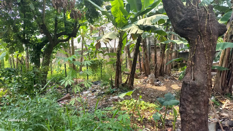 Kejaksaan Agung melelang tanah di Kota Bandung milik terpidana kasus kredit fiktif Andi Winarto senilai Rp 5,4 miliar. Foto: Kejagung RI