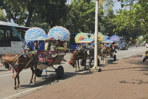 Delman dihias untuk menyambut wisatawan yang berlibur pada libur Natal dan Tahun Baru di kawasan Monumen Nasiona, Jakarta, Kamis (25/12/2025). Foto: Luthfi Humam/kumparan