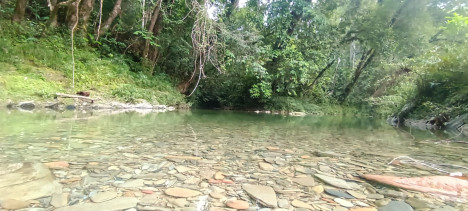 Salah satu sungai yang berada di dalam kawasan Taman Nasional Betung Kerihun, Kalimantan Barat (Dokumen Pribadi)