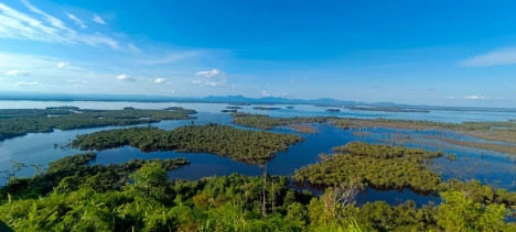 Kawasan Taman Nasional Danau Sentarum,  Kalimantan Barat (Dokumen Pribadi)