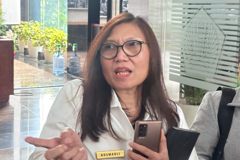 Direktur Penyuluhan, Pelayanan, dan Hubungan Masyarakat DJP, Rosmauli, di Kantor Kementerian Keuangan, Senin (29/12/2025). Foto: Ave Airiza Gunanto/kumparan