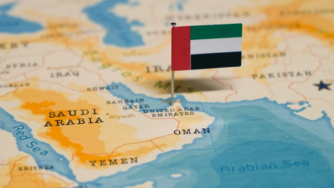 Perang di Dalam Perang, Arab Saudi versus UEA di Yaman 