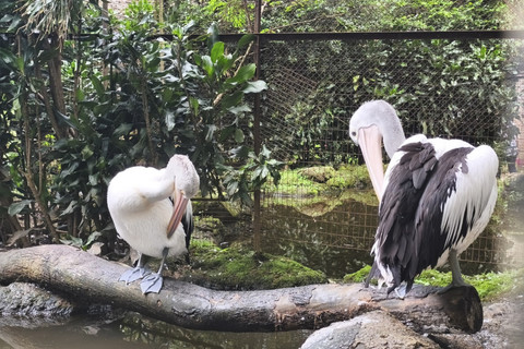 Situasi saat liburan awal tahun di Bandung Zoo, Bandung, Jawa Barat, Sabtu (3/1/2026). Foto: Linda Lestari/kumparan