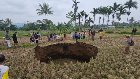 Fenomen sinkhole di tengah sawah di Nagari Situjuh Batuah, Kabupaten Lima Puluh Kota, Sumbar. Foto: Dok. Istimewa