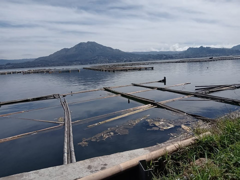 Gunung Batur menjulang di antara deretan keramba jaring apung di Danau Batur. Lanskap indah ini merekam pertemuan antara alam, ekonomi, dan tantangan keberlanjutan perairan. Sumber: Dokumentasi Pribadi.