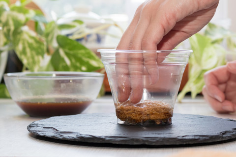 Ilustrasi membuat minuman tanpa sarung tangan. Foto: Shyjo/Shutterstock