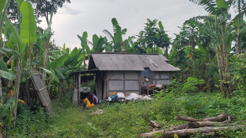 Rumah Mbah Srinah di Kabupaten Pati. Dok: kumparan