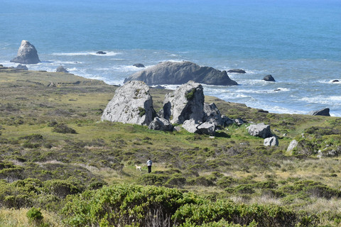 Sonoma Coast di California, AS Foto: BDLane/Shutterstock