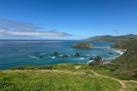  Sonoma Coast di California, AS Foto: Leigha Bevenour/Shutterstock