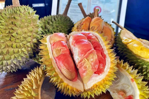 Durian merah Banyuwangi, Jawa Timur. Foto: Pemkab Banyuwangi/ANTARA FOTO