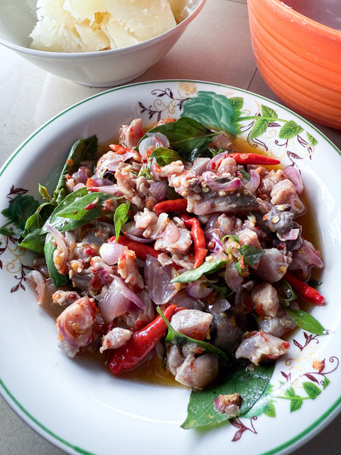 Ilustrasi gohu ikan. Foto: Harinnita Detta/Shutterstock