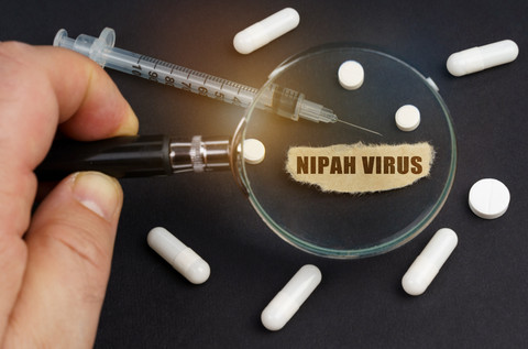 Ilustrasi Virus Nipah Foto: SkazovD/Shutterstock