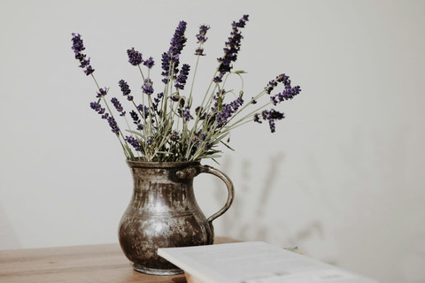 Ilustrasi Lavender sebagai Pendukung Relaksasi Alami. Pexels/Zeynep Gül Ceylan