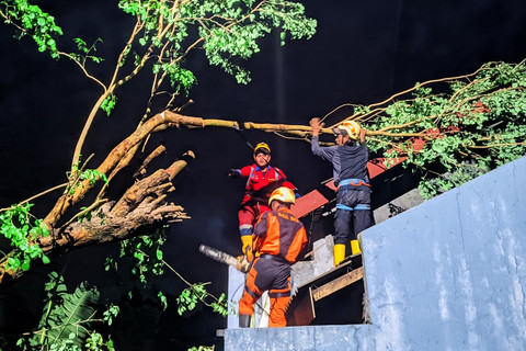 Petugas memotong batang pohon yang tumbang hingga membuat bangunan rusak akibat hujan disertai angin kencang di Kabupaten Sleman, Yogyakarta, Sabtu (31/1/2026). Foto: Dok. BPBD Sleman