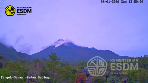 Awan panas tampak muncul dari Gunung Merapi siang hari ini, Minggu (1/2/2026). Foto: Dok. BPPTKG