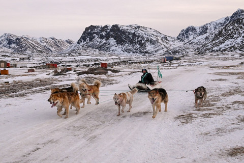 Seorang pengemudi kereta luncur anjing sedang berkendara bersama anjing-anjing penarik keretanya di "kota anjing" dekat Sisimiut, Greenland pada 31 Januari 2026. Foto: AFP/Ina Fassbender