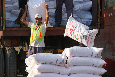 Pekerja memindahkan pupuk dari truk ke kapal untuk didistribusikan ke Nusa Tenggara Barat (NTB) di Pelabuhan Tanjungwangi, Banyuwangi, Jawa Timur, Selasa (3/2/2026). Foto: Budi Candra Setya/ANTARA FOTO
