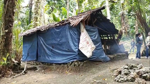 Rumah milik Fransina Tamaela (69) yang hidup terasing di tengah hutan Desa Haria, Kecamatan Saparua, Kabupaten Maluku Tengah. Foto: kumparan