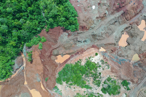 Gambar ini memvisualisasikan paragraf awal artikel, di mana vegetasi hilang dan hujan menyeret tanah ke sungai. Foto: Dokumentasi pribadi