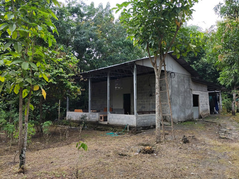 Rumah kediaman Ananda Yue Riastanto di Kulon Progo. Foto: Arfiansyah Panji Purnandaru/kumparan