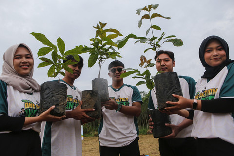 Bibit pohon yang ditanam di lereng Gunung Muria. Dok: BLDF
