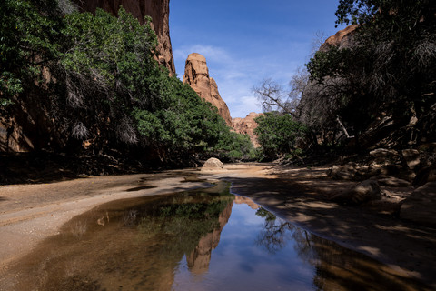 Pemandangan umum Bachikele Guelta, cagar alam di Dataran Tinggi Ennedi, Ennedi-Est, Chad, (11 /2/2026). Foto: JORIS BOLOMEY/AFP