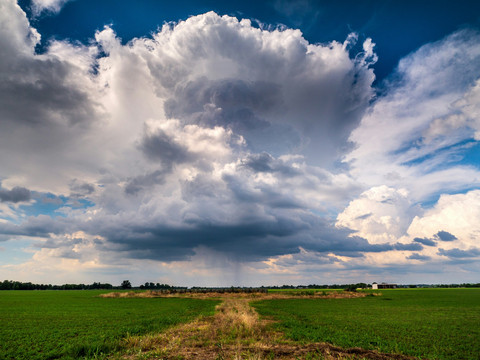 Ilustrasi awan cumulonimbus (unsplash.com/raychel sanner)